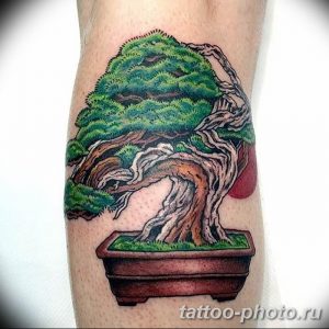 Фото тату Бонсай 26.10.2018 №017 - tattoo bonsai - tattoo-photo.ru