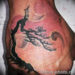 Фото тату Бонсай 26.10.2018 №019 - tattoo bonsai - tattoo-photo.ru