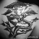 Фото тату Бонсай 26.10.2018 №021 - tattoo bonsai - tattoo-photo.ru