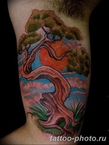 Фото тату Бонсай 26.10.2018 №029 - tattoo bonsai - tattoo-photo.ru