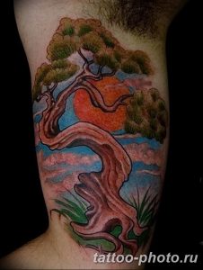 Фото тату Бонсай 26.10.2018 №030 - tattoo bonsai - tattoo-photo.ru