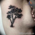Фото тату Бонсай 26.10.2018 №032 - tattoo bonsai - tattoo-photo.ru