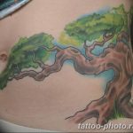 Фото тату Бонсай 26.10.2018 №037 - tattoo bonsai - tattoo-photo.ru