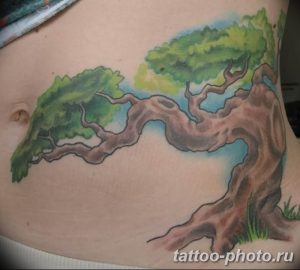 Фото тату Бонсай 26.10.2018 №037 - tattoo bonsai - tattoo-photo.ru