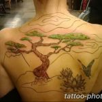 Фото тату Бонсай 26.10.2018 №041 - tattoo bonsai - tattoo-photo.ru