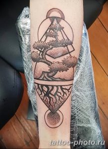 bonsai tree tattoo meaning Geometric bonsai tree Swirly Sinatra