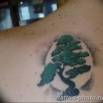 Фото тату Бонсай 26.10.2018 №045 - tattoo bonsai - tattoo-photo.ru