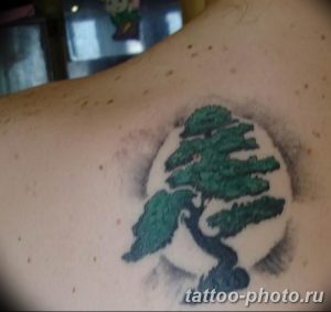 Фото тату Бонсай 26.10.2018 №045 - tattoo bonsai - tattoo-photo.ru