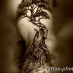 Фото тату Бонсай 26.10.2018 №047 - tattoo bonsai - tattoo-photo.ru