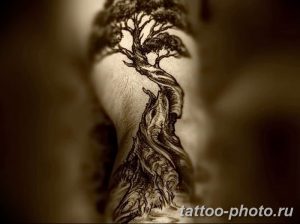 Фото тату Бонсай 26.10.2018 №047 - tattoo bonsai - tattoo-photo.ru