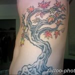 Фото тату Бонсай 26.10.2018 №048 - tattoo bonsai - tattoo-photo.ru