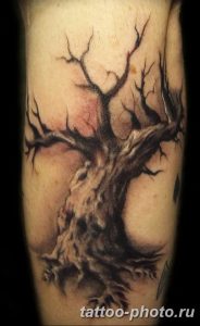 Фото тату Бонсай 26.10.2018 №049 - tattoo bonsai - tattoo-photo.ru