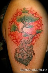 Фото тату Бонсай 26.10.2018 №051 - tattoo bonsai - tattoo-photo.ru