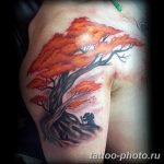 Фото тату Бонсай 26.10.2018 №053 - tattoo bonsai - tattoo-photo.ru