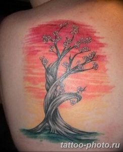 Фото тату Бонсай 26.10.2018 №058 - tattoo bonsai - tattoo-photo.ru