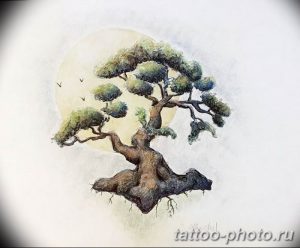 Фото тату Бонсай 26.10.2018 №061 - tattoo bonsai - tattoo-photo.ru