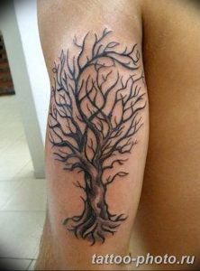 Фото тату Бонсай 26.10.2018 №065 - tattoo bonsai - tattoo-photo.ru