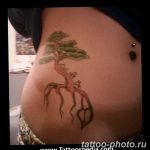 Фото тату Бонсай 26.10.2018 №066 - tattoo bonsai - tattoo-photo.ru