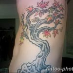 Фото тату Бонсай 26.10.2018 №068 - tattoo bonsai - tattoo-photo.ru