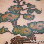 Фото тату Бонсай 26.10.2018 №078 - tattoo bonsai - tattoo-photo.ru