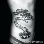 Фото тату Бонсай 26.10.2018 №081 - tattoo bonsai - tattoo-photo.ru