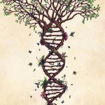 bonsai tree tattoo designs 45 Small Tree Life Tattoos Collection