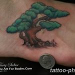 bonsai tree tattoo designs bonsai tree