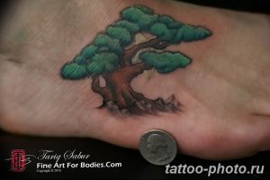 bonsai tree tattoo designs bonsai tree