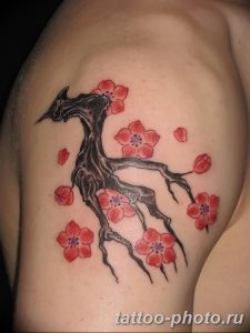 bonsai tree tattoo designs Cherry Blossom Tree Tattoo Shoulder