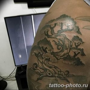 Фото тату Бонсай 26.10.2018 №090 - tattoo bonsai - tattoo-photo.ru