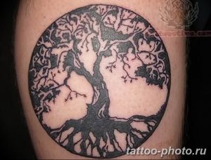 Фото тату Бонсай 26.10.2018 №098 - tattoo bonsai - tattoo-photo.ru