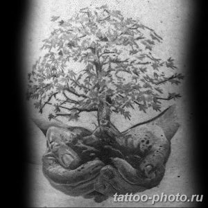 Фото тату Бонсай 26.10.2018 №099 - tattoo bonsai - tattoo-photo.ru