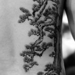 Фото тату Бонсай 26.10.2018 №100 - tattoo bonsai - tattoo-photo.ru