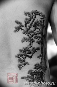 Фото тату Бонсай 26.10.2018 №100 - tattoo bonsai - tattoo-photo.ru