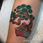 Фото тату Бонсай 26.10.2018 №102 - tattoo bonsai - tattoo-photo.ru