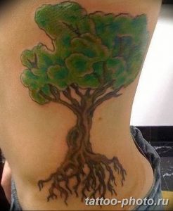 Фото тату Бонсай 26.10.2018 №108 - tattoo bonsai - tattoo-photo.ru