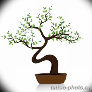 Фото тату Бонсай 26.10.2018 №114 - tattoo bonsai - tattoo-photo.ru