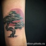 Фото тату Бонсай 26.10.2018 №116 - tattoo bonsai - tattoo-photo.ru