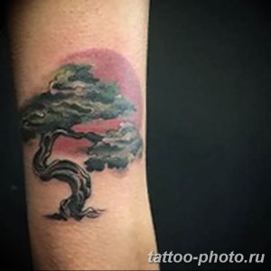 Фото тату Бонсай 26.10.2018 №116 - tattoo bonsai - tattoo-photo.ru