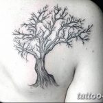 Фото тату Бонсай 26.10.2018 №117 - tattoo bonsai - tattoo-photo.ru