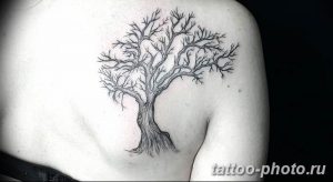 Фото тату Бонсай 26.10.2018 №117 - tattoo bonsai - tattoo-photo.ru