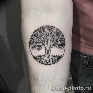 Фото тату Бонсай 26.10.2018 №118 - tattoo bonsai - tattoo-photo.ru