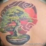 Фото тату Бонсай 26.10.2018 №130 - tattoo bonsai - tattoo-photo.ru