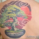 business card size tattoos Beautiful bonsai tree tattoo bonsai t