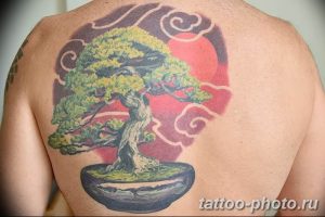 business card size tattoos Beautiful bonsai tree tattoo bonsai t