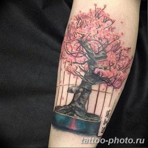 Фото тату Бонсай 26.10.2018 №138 - tattoo bonsai - tattoo-photo.ru