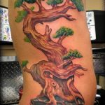 Фото тату Бонсай 26.10.2018 №143 - tattoo bonsai - tattoo-photo.ru