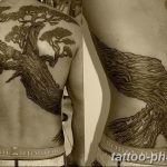 Фото тату Бонсай 26.10.2018 №144 - tattoo bonsai - tattoo-photo.ru