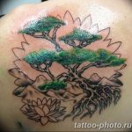 Фото тату Бонсай 26.10.2018 №146 - tattoo bonsai - tattoo-photo.ru