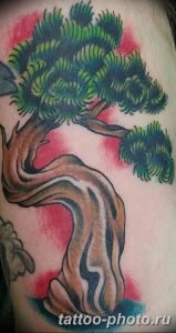 Фото тату Бонсай 26.10.2018 №147 - tattoo bonsai - tattoo-photo.ru